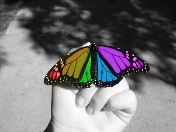 19-color-splash-butterfly-hand-lenzak.jpg