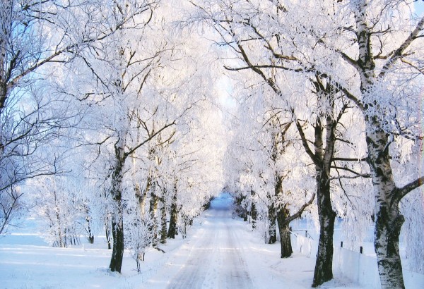 عکس نوشته های فصل زمستان