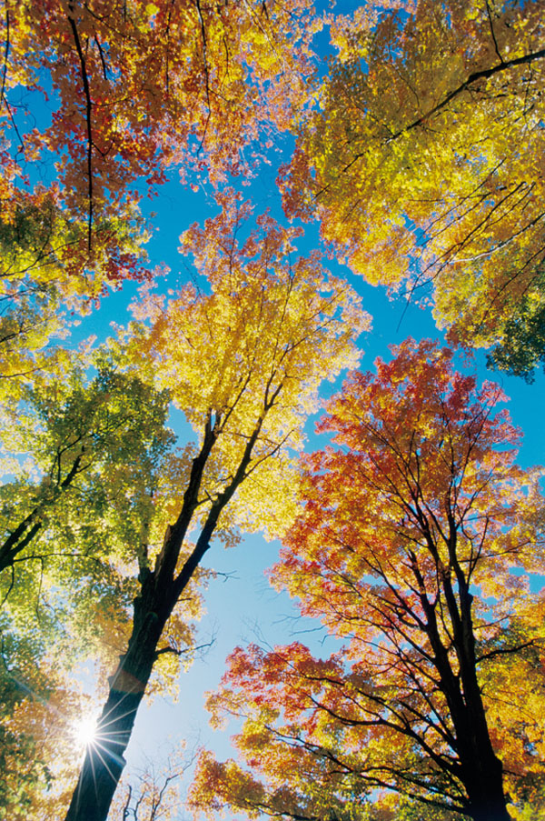 autumn-photography-tips-10-lenzak.jpg