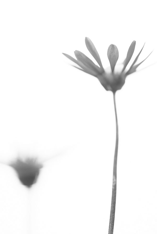 black-white-photo-example-04.jpg