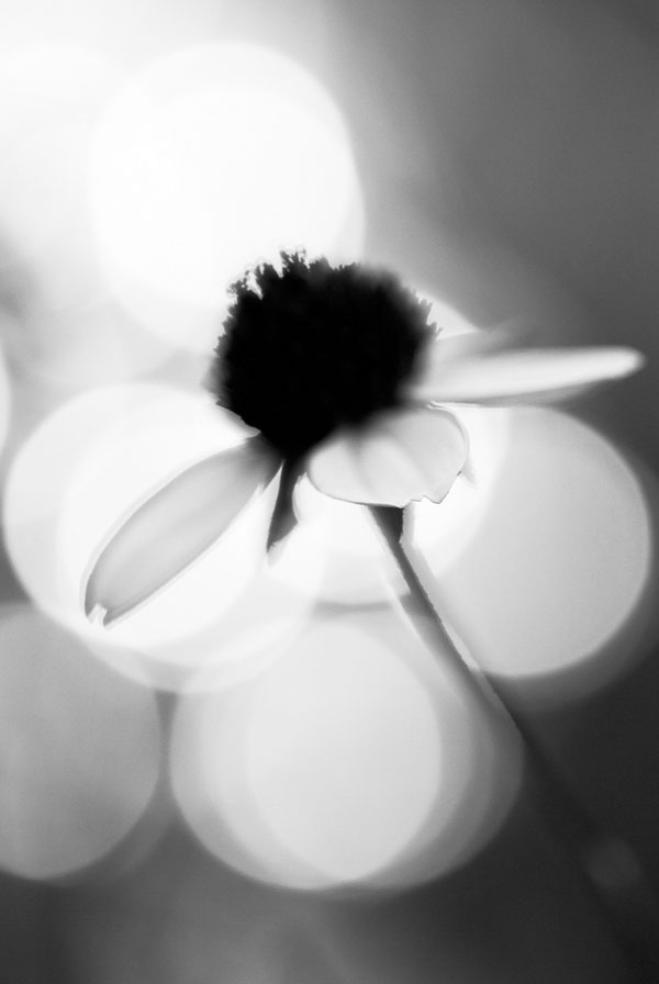 black-white-photo-example-13.jpg