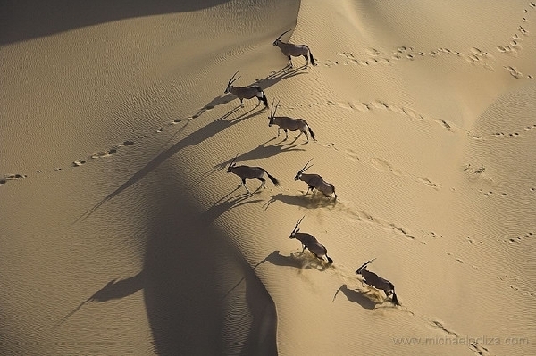 مجموعه عکس های هوایی