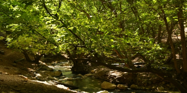  عکس کاور پروفایل sajad